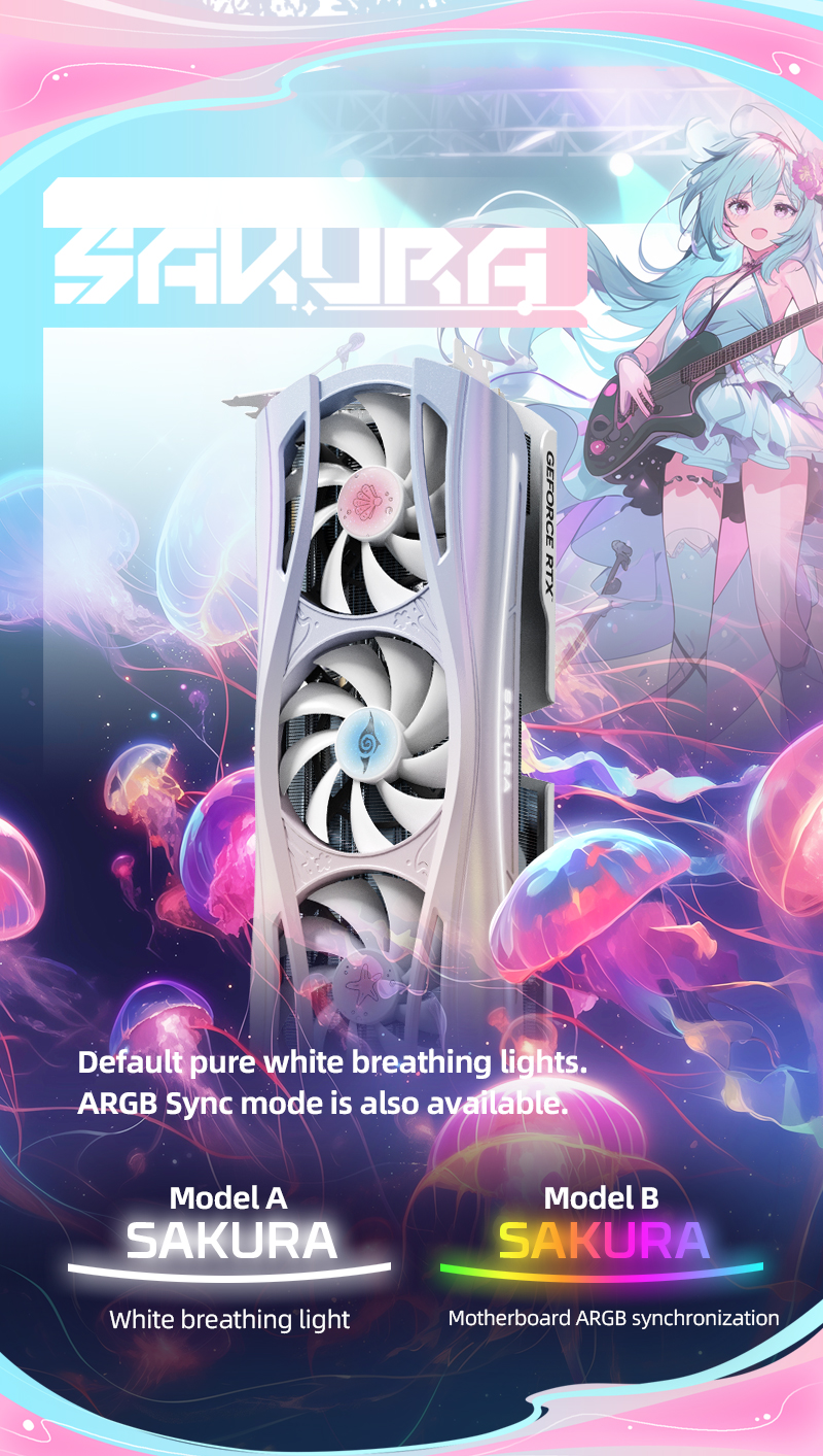 RTX5080