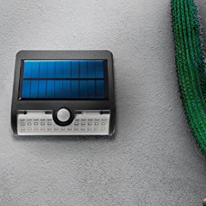 image for this item