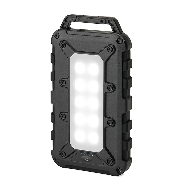 Lion Energy Lion Cub Portable Power Bank for phone, earbuds, tablets