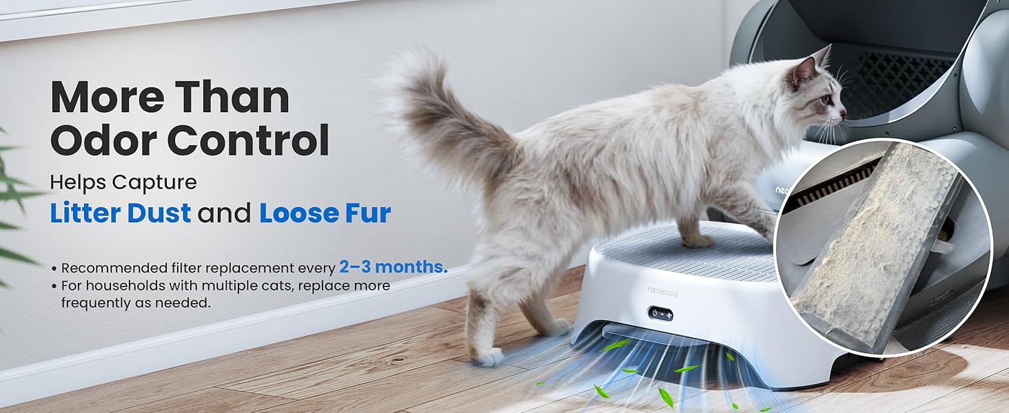 Neakasa AirStep Odor-Eliminating Cat Litter Box Step