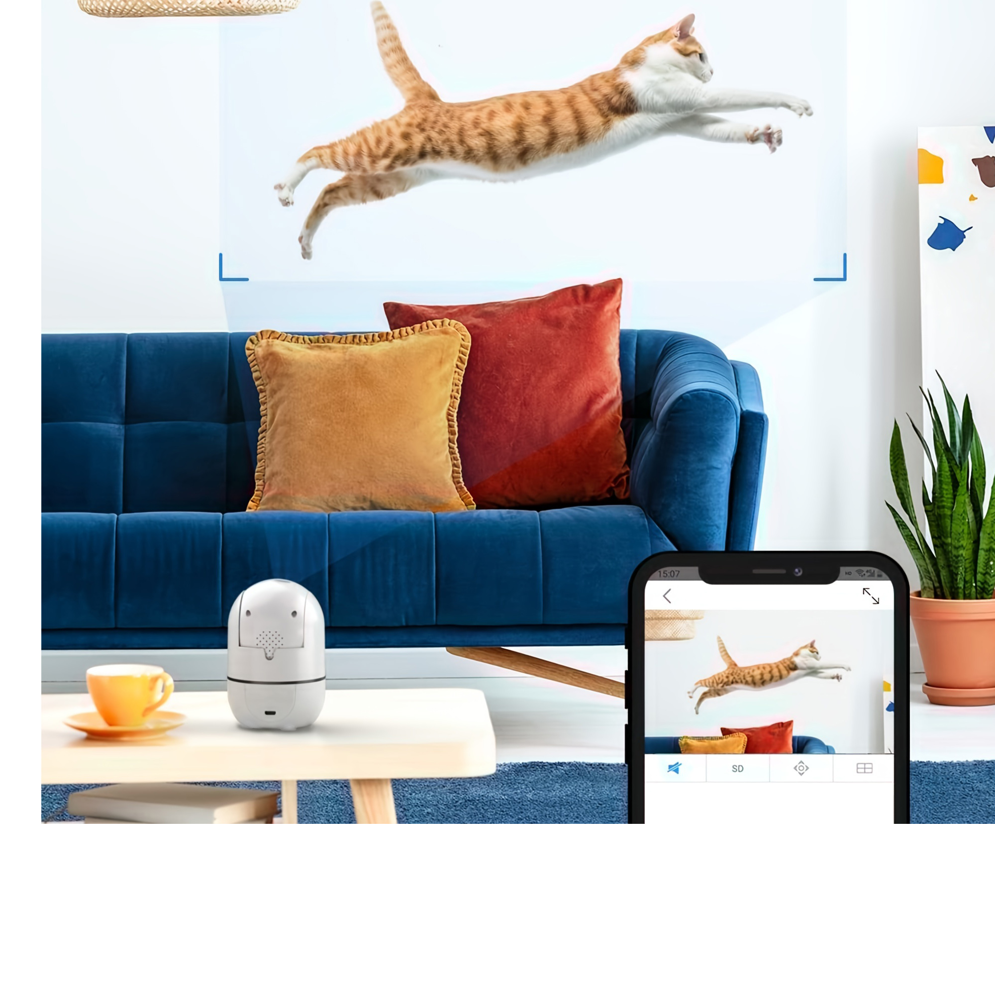 motion detection
