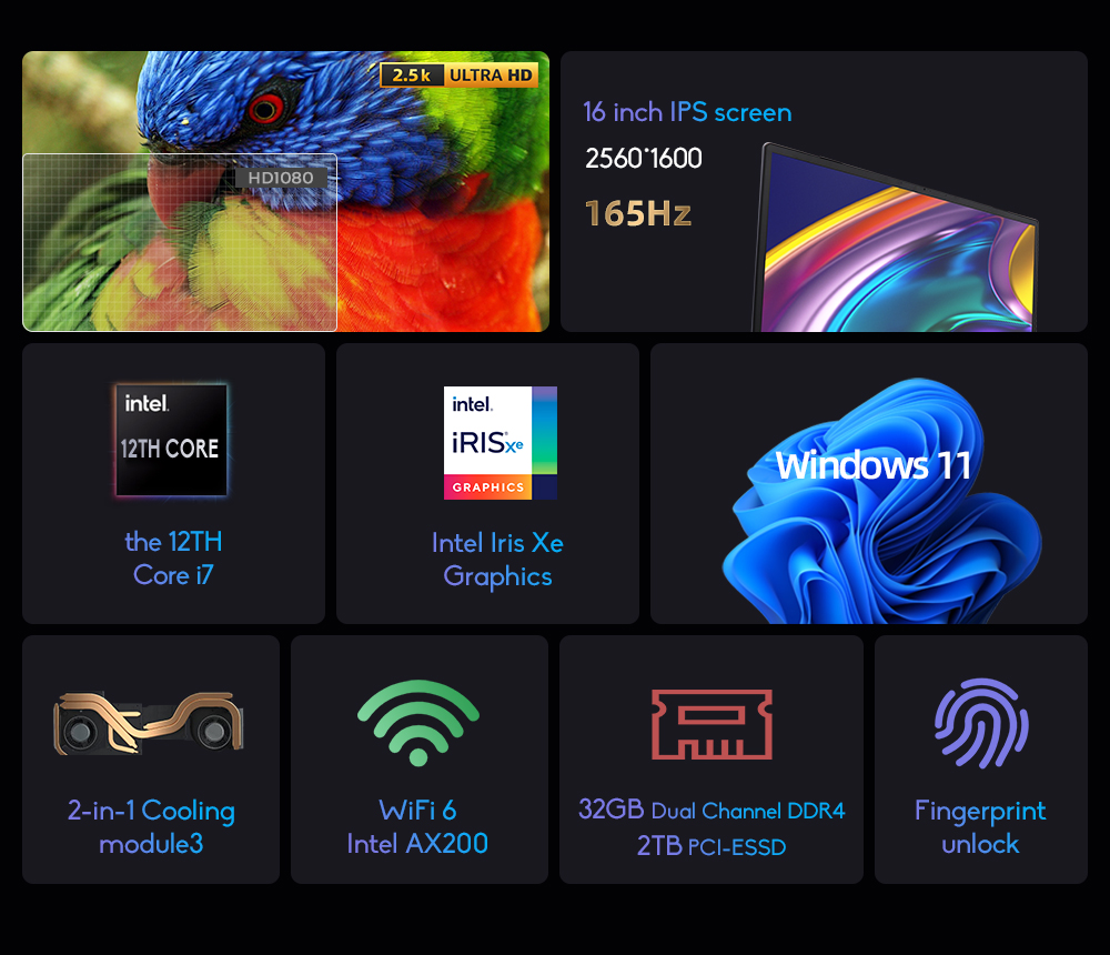 image for this item