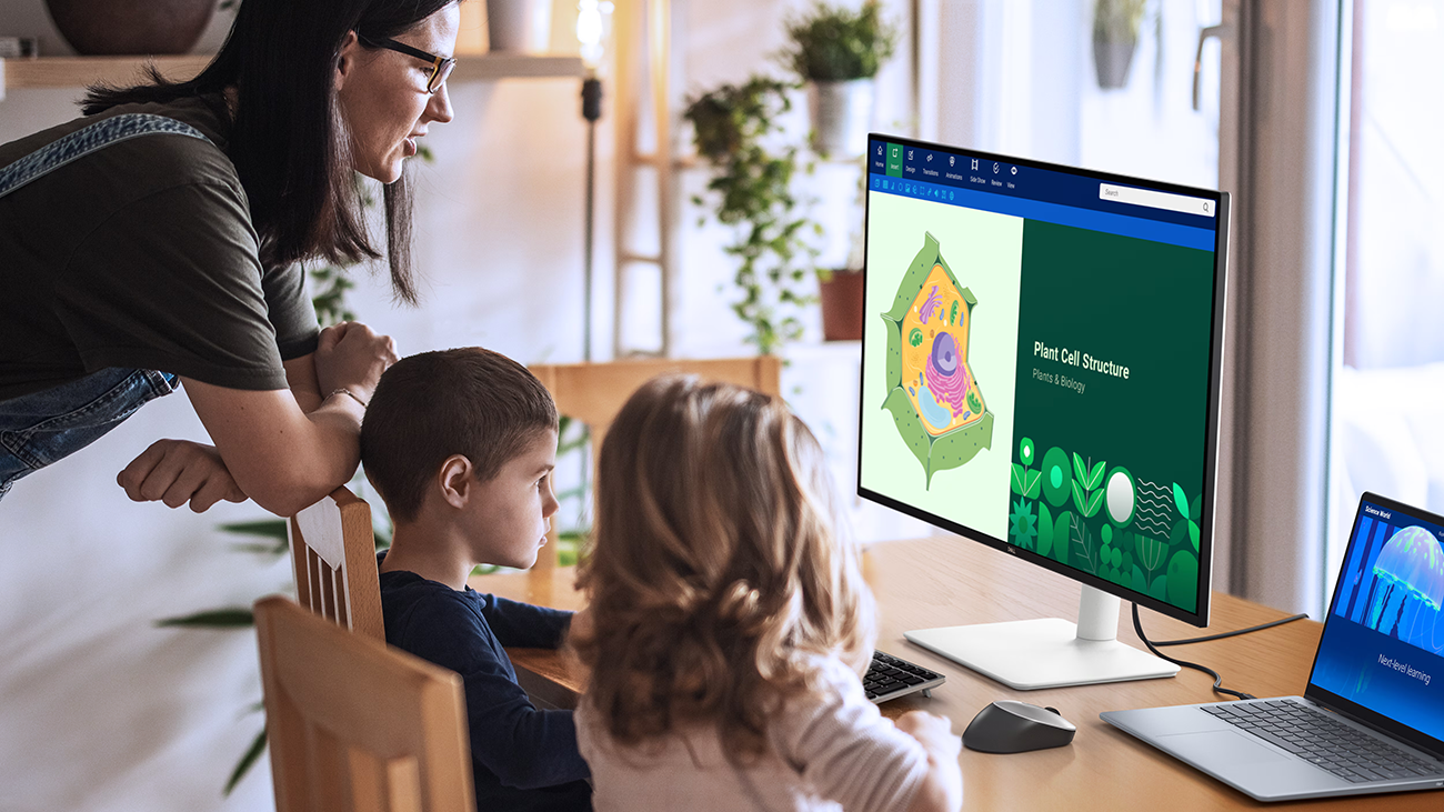 Dell S3225QS 32 Plus 4K Monitor