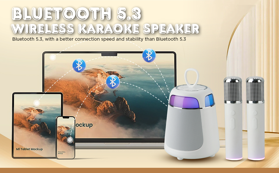 karaoke speaker