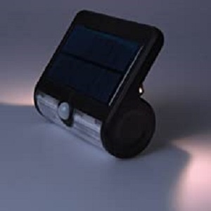 image for this item