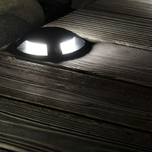 image for this item