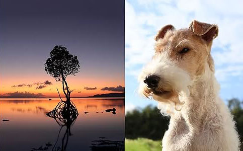 Canon EOS R50 Mirrorless Camera with Canon RF-S 18-45mm f/4.5-6.3 IS STM Lens and Transcend 64GB SDXC Memory Card + Camera Case