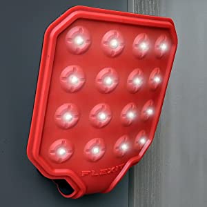 image for this item