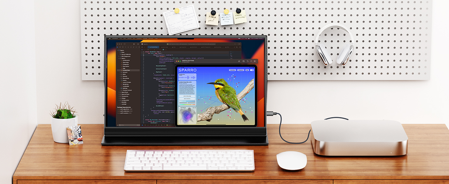 Monitor