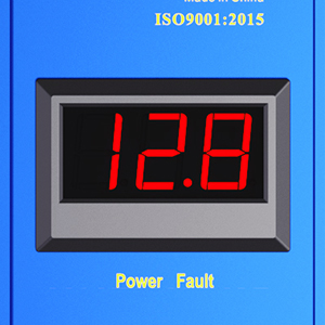 image for this item