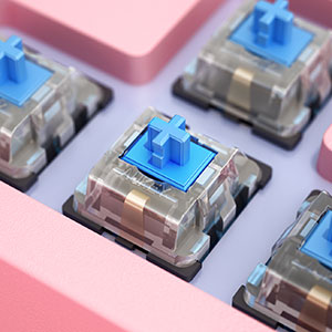 Blue Switches