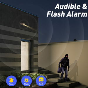Audible & Flash Alarm