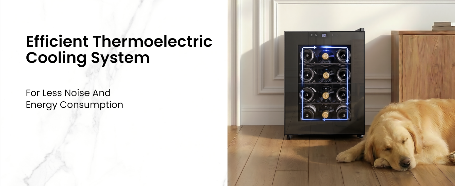 Efficient Thermoelectric Cooling System