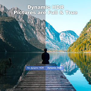 Dynamic HDR Pictures are Full &amp; True