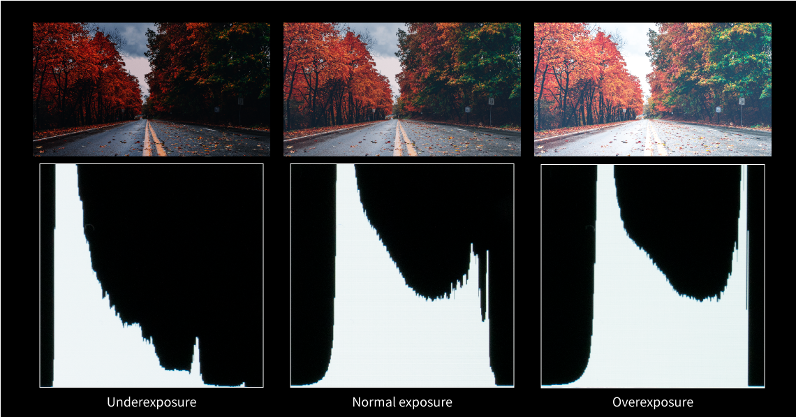Brightness Histogram