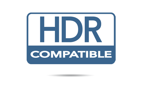 Optoma ProScene ZU920T professional Laser DLP Projector