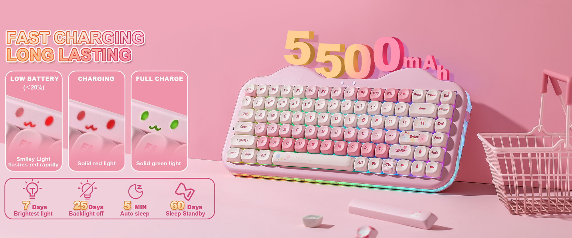 Rechargeable 5500mAh Battery