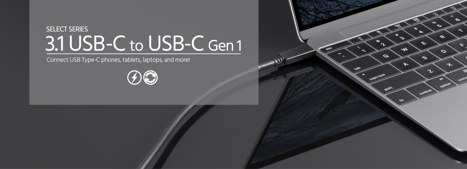 USB Type-C to Type-C 3.1 Gen 1 Cable - 5Gbps, 3A, 30AWG