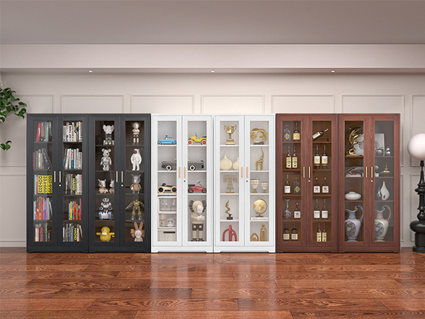 Display Cabinet with Glass Doors