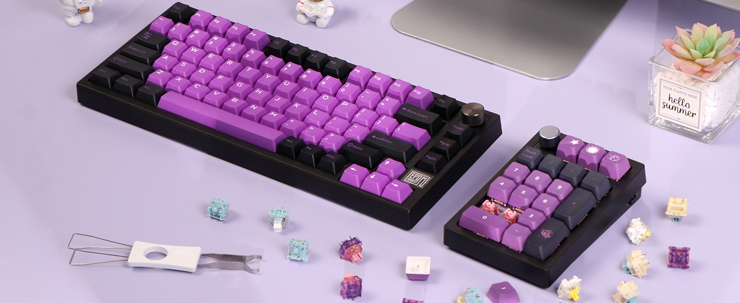 Mechanical Keyboard Switches Set