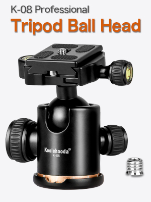 image for this item