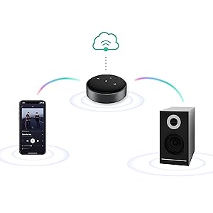 WiiM Mini AirPlay 2 Wireless Audio Streamer