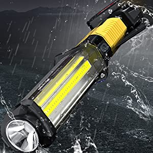 image for this item