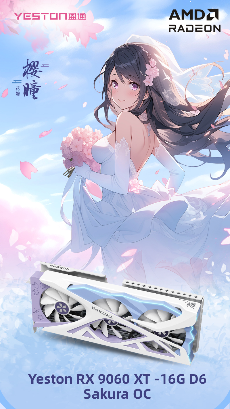 RX9060XT