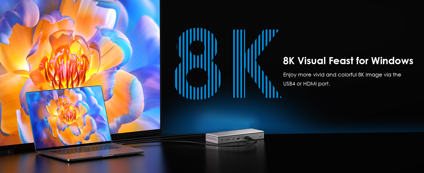 USB 4 Docking Station