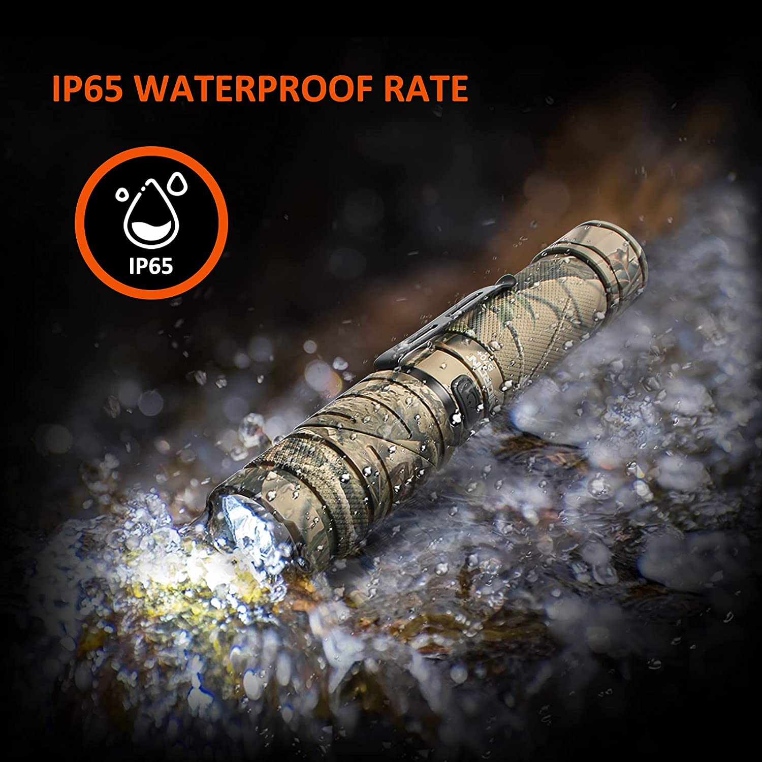 image for this item