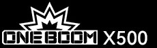 KingSpec OneBoom X500 PCIe 5.0 NVMe M.2 SSD