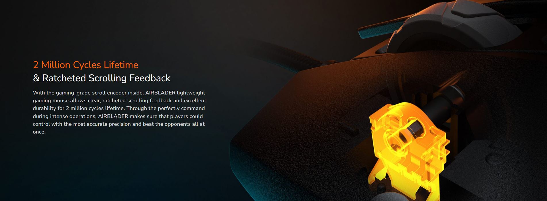image for this item