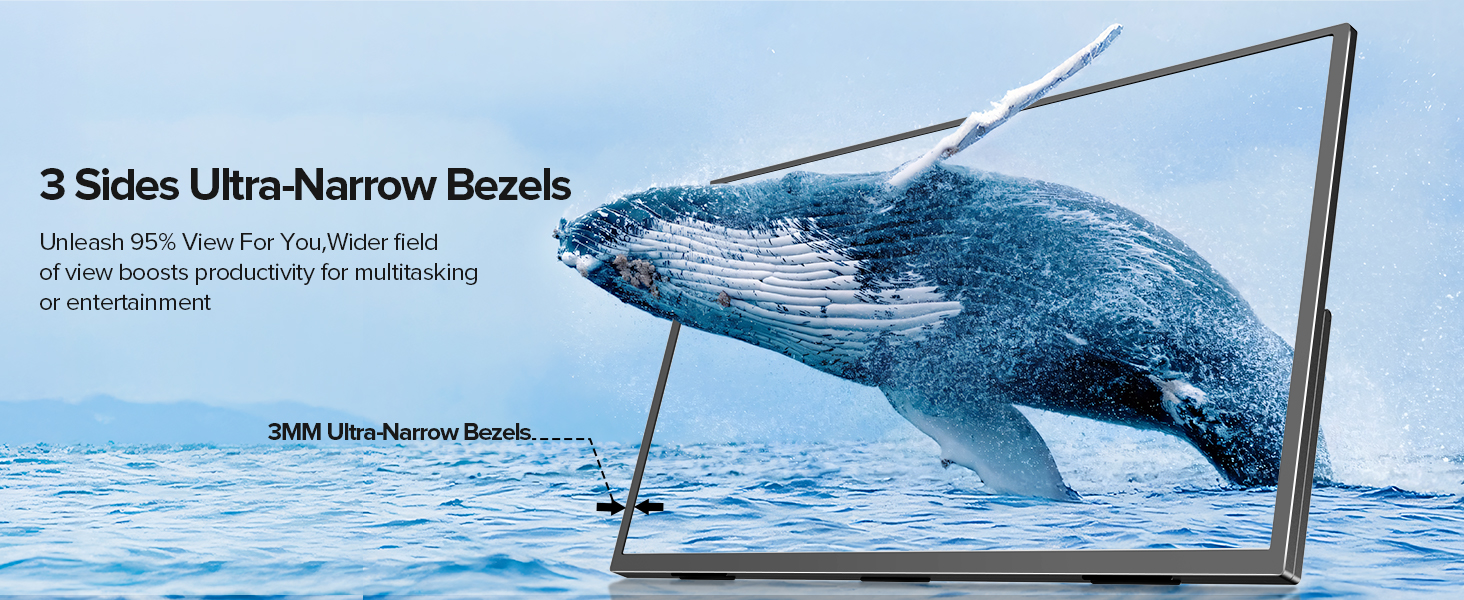 240Hz Monitor