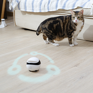 Enabot Home Pet Robot