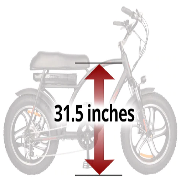 image for this item