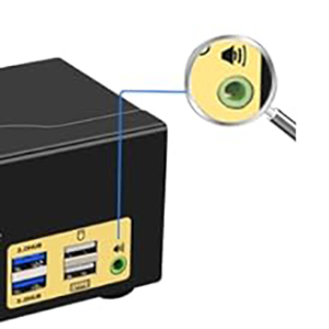 With audion output, you can share headset between two computers.