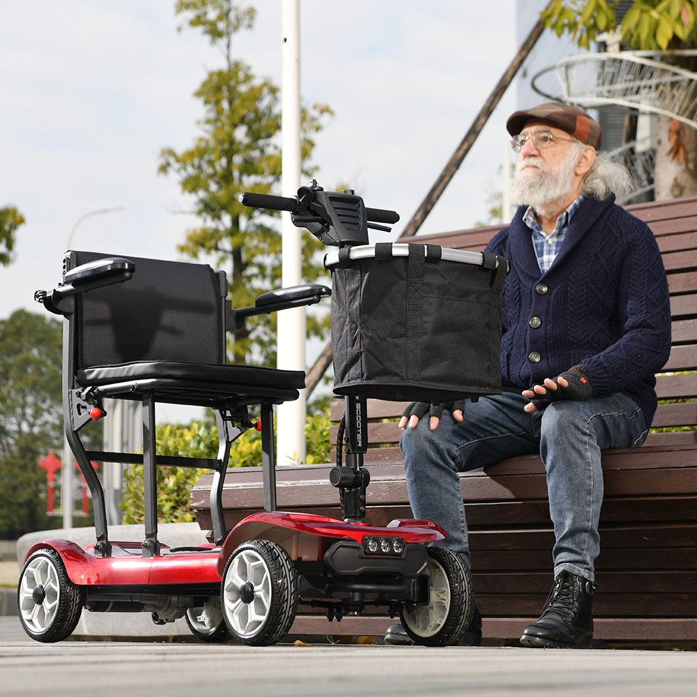electric scooter