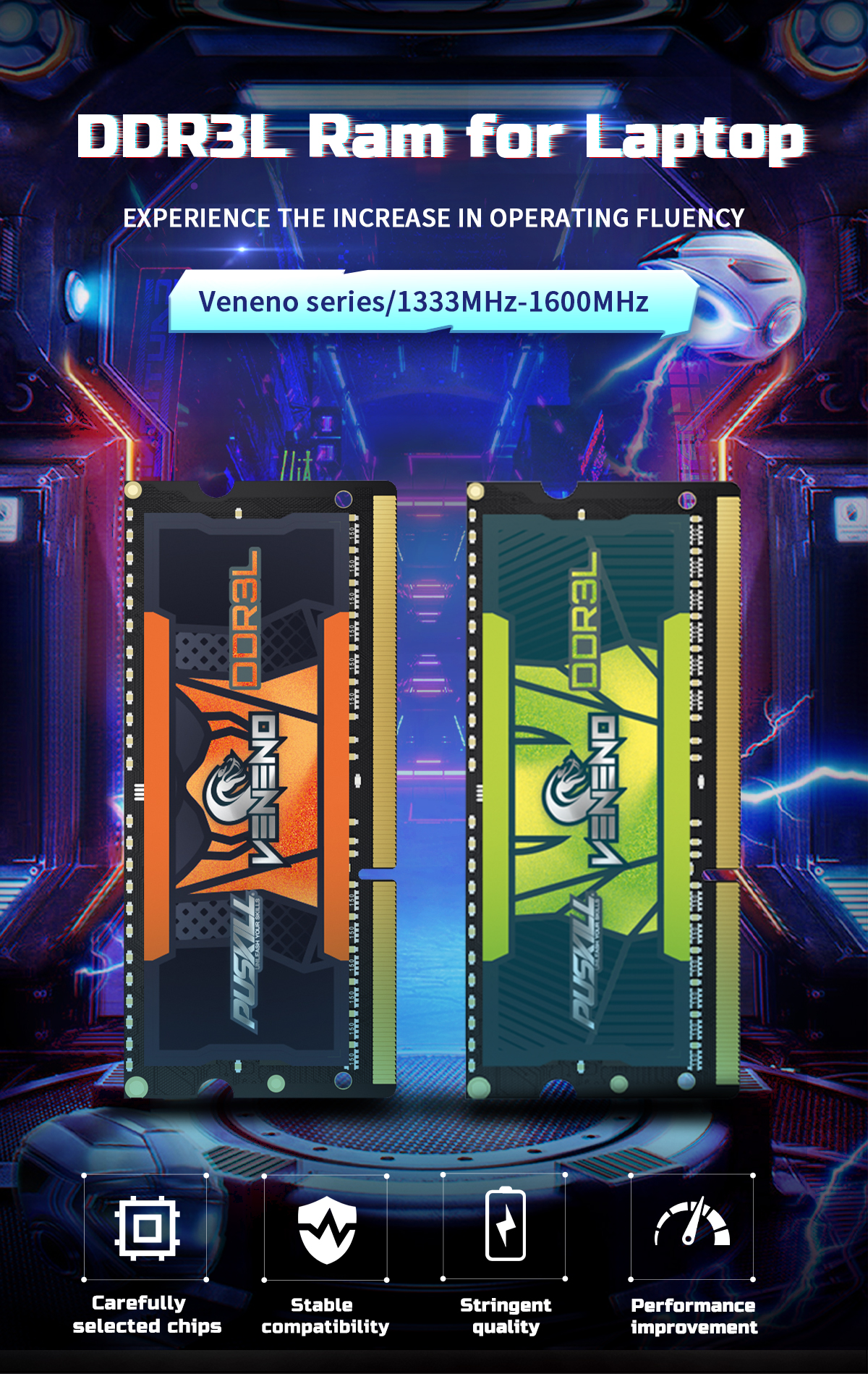 DDR3L Memory RAM