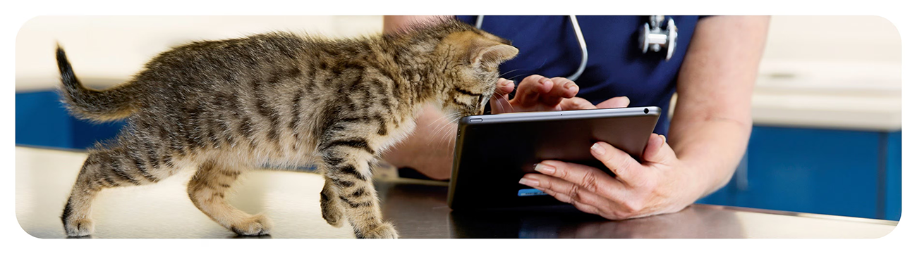 Chewy E-Gift Card
