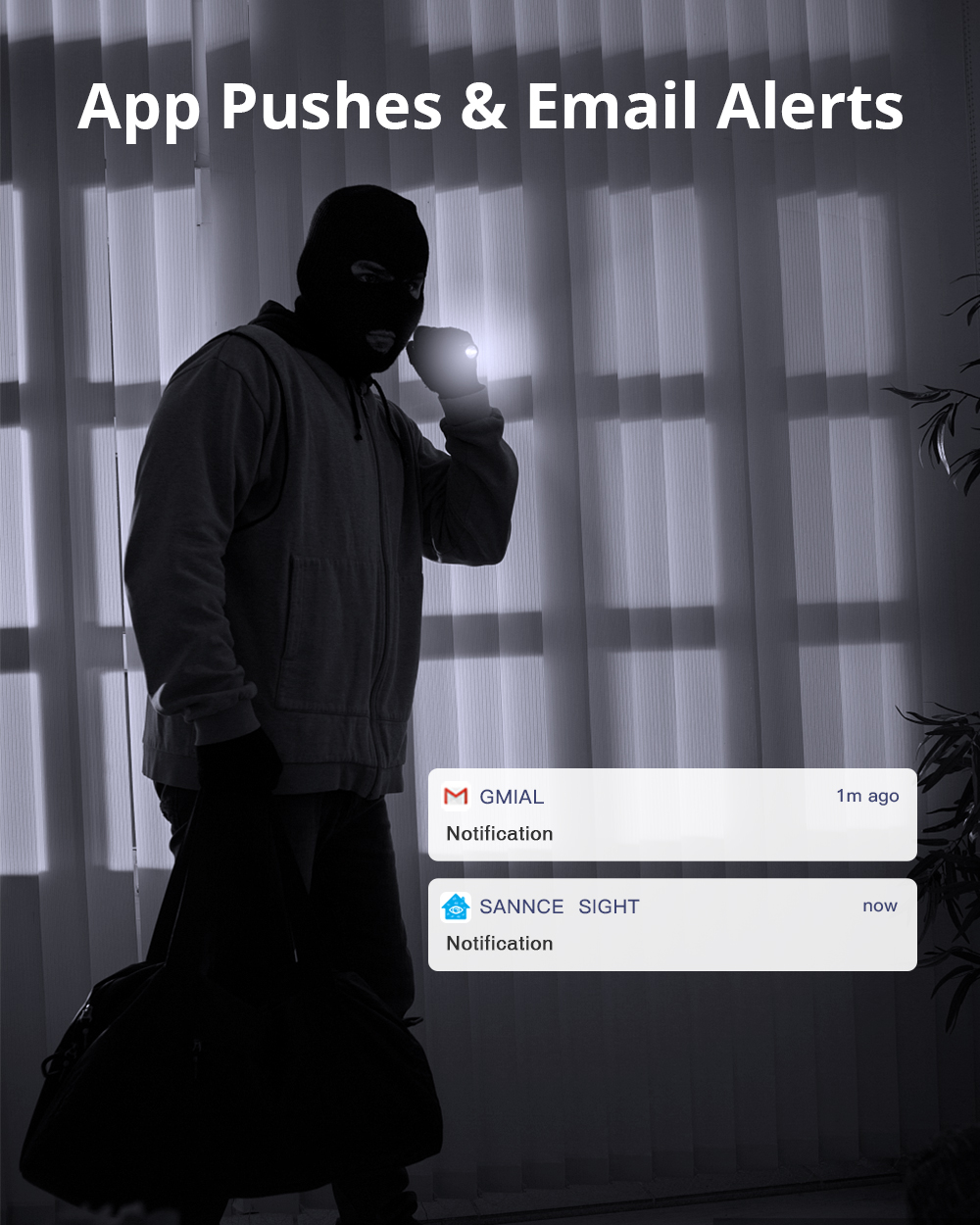 Remote Access,Alerts