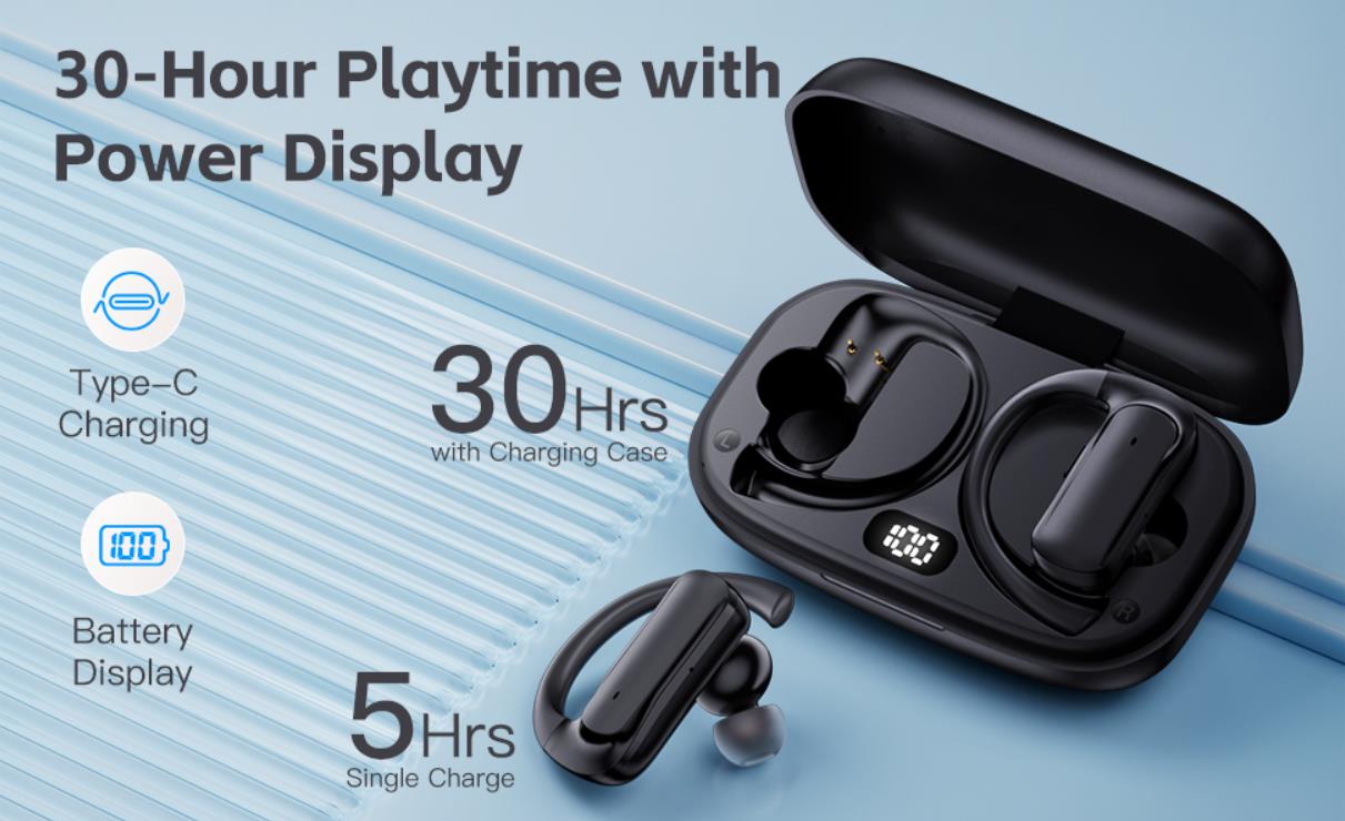 True Wireless Earbuds, Bluetooth Headphones with Earhook