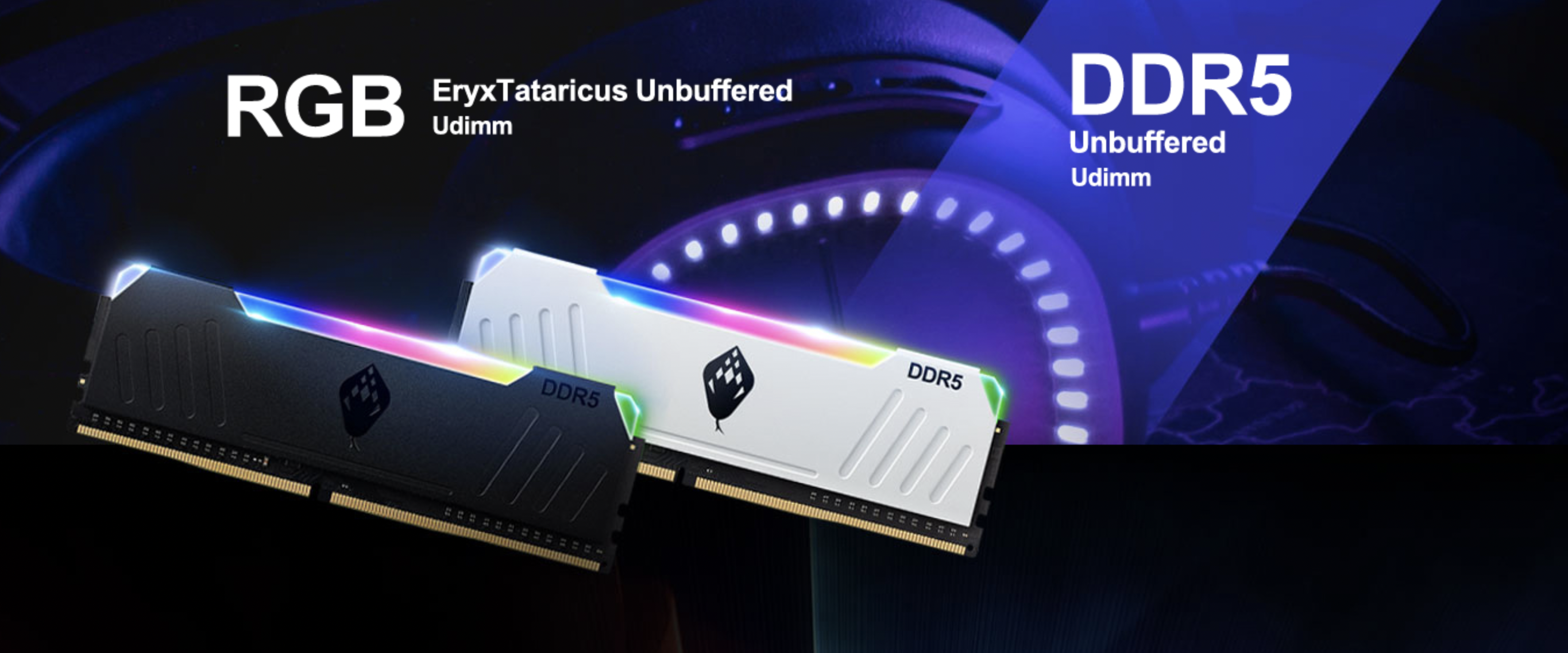 DDR5 RGB