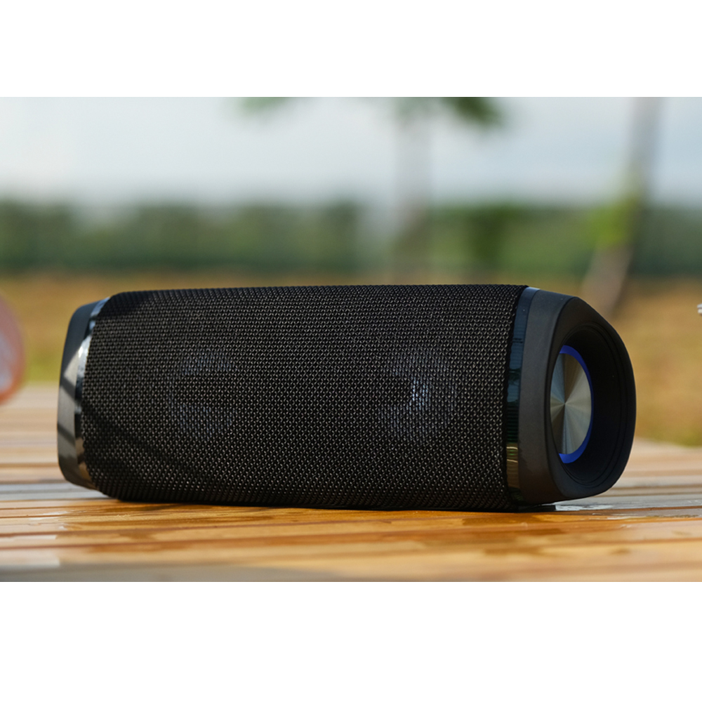 Portable wireless speaker
