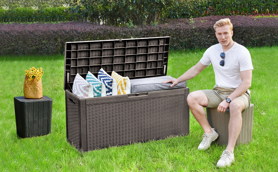 image for this item