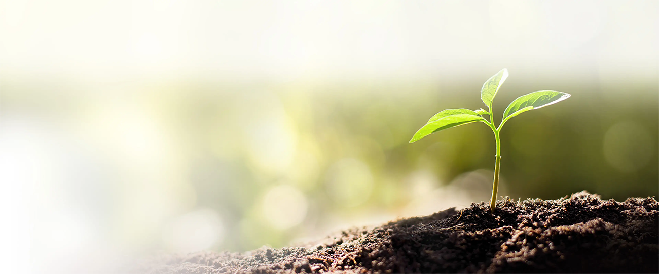 MSI Cubi NUC AI+ 3MG mini PC Barebone