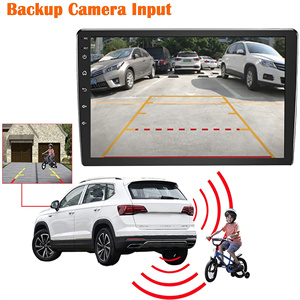 Backup Camera Input