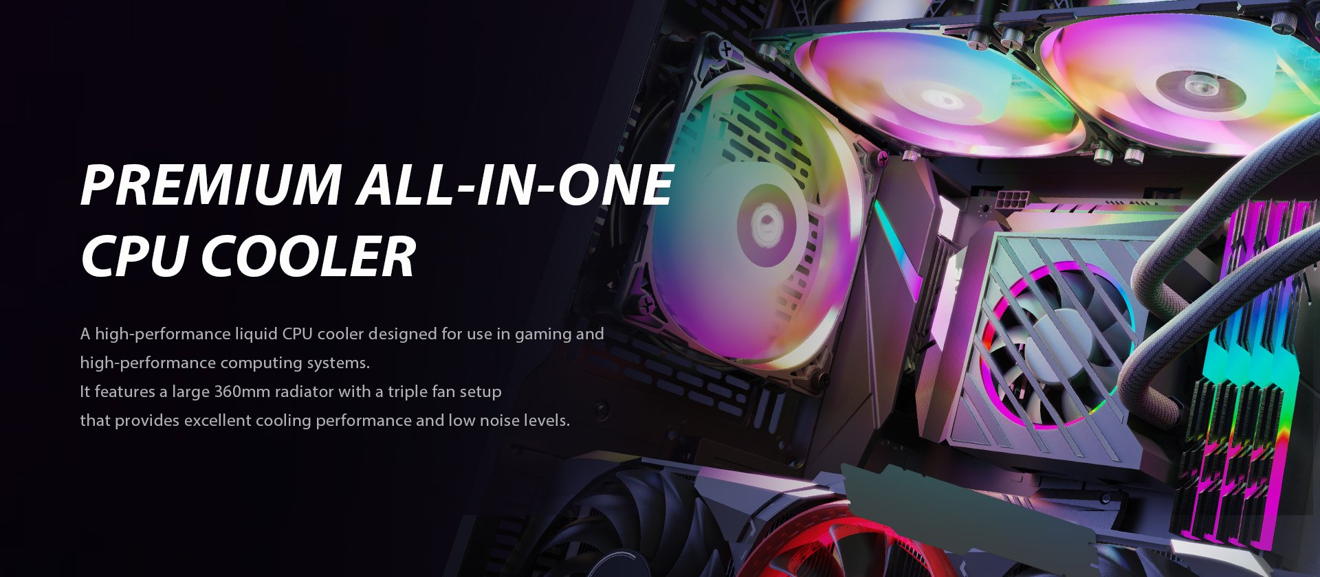 image for this item