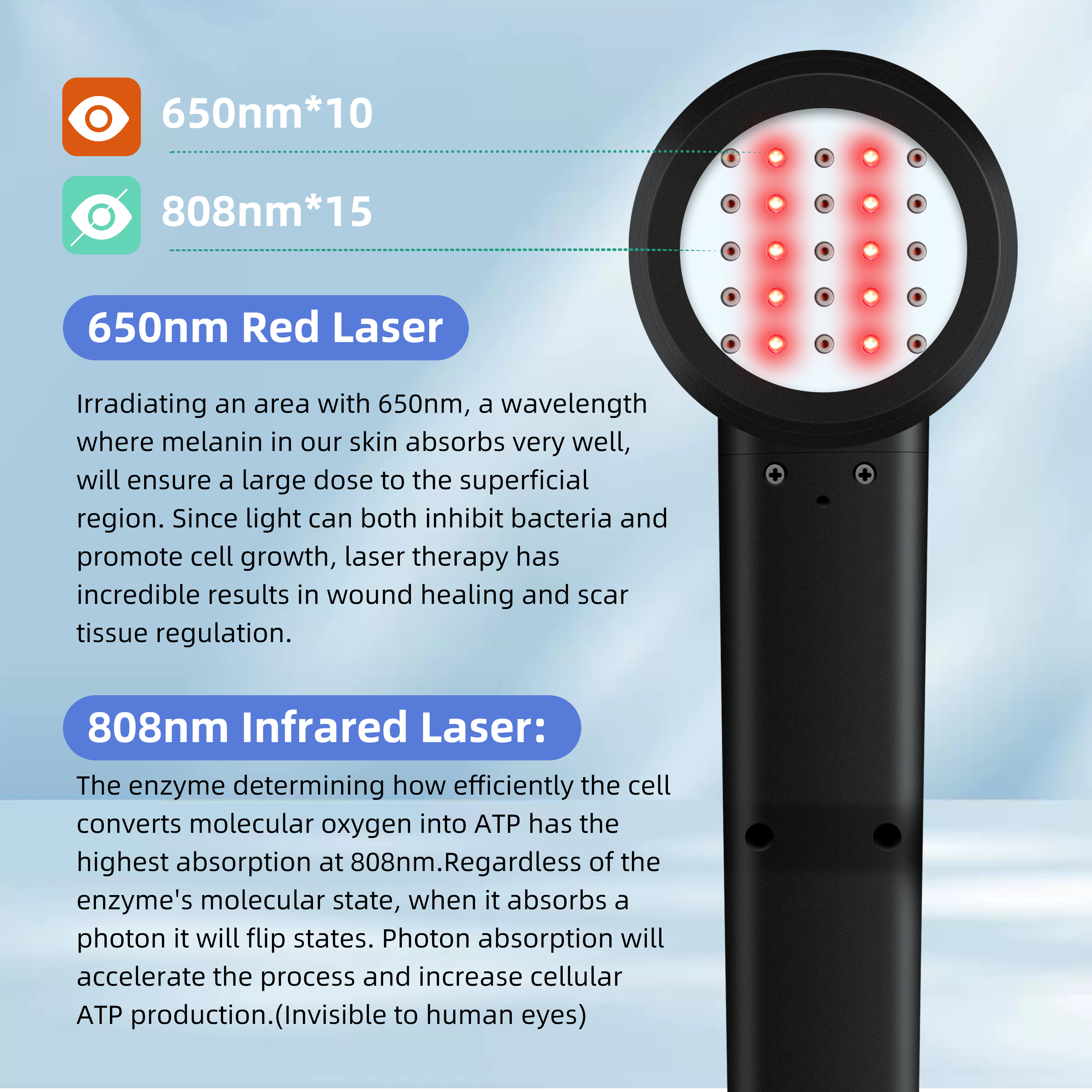 Product Description