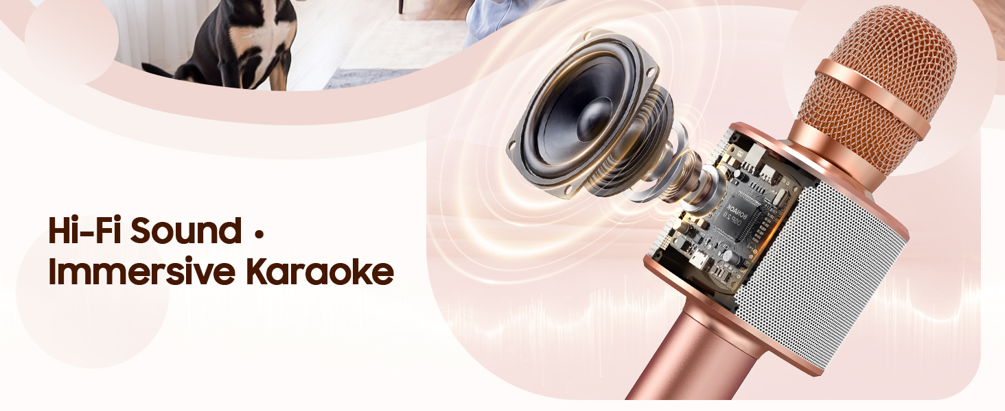 BONAOK Q37 Wireless Bluetooth Karaoke Microphone