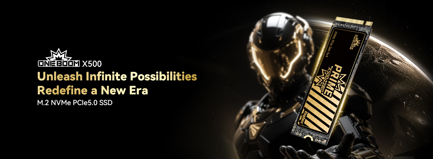 ONEBOOM X500 M.2 NVMe PCIe5.0 SSD